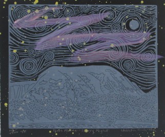 Gros Morne -- Starry Night