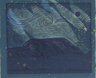 Gros Morne -- Starry Night