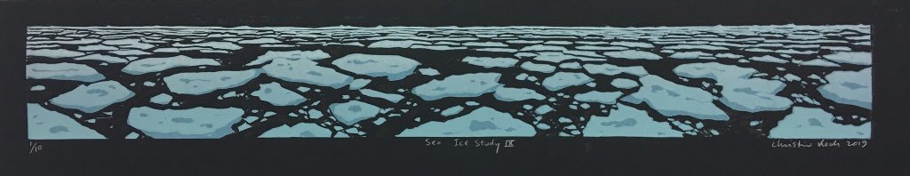 Sea Ice Study 9